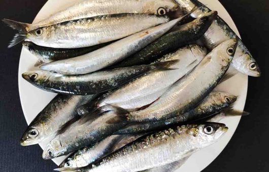 como limpiar sardinas para freir