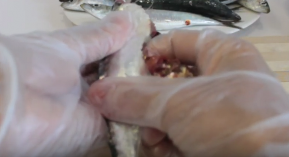 CÓMO LIMPIAR SARDINAS PARA FREIR