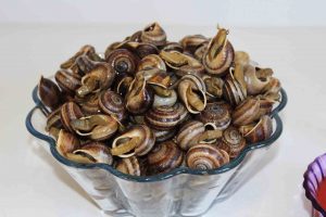 caracoles limpios