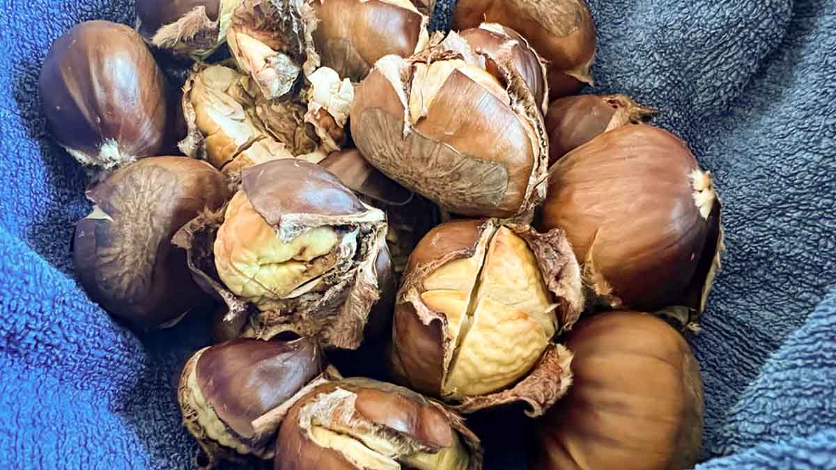castañas asadas perfectas en freidora de aire